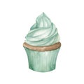 Watercolor hand drawn geen cupcake with wripped cream. Sweet food illustration for cafe, menu design on white background