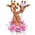 Watercolor Hand Drawn Giraffes Compositions for card making, paper, textile, printing, packaging