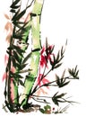 Watercolor draw of bamboo in japanese style