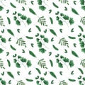 Watercolor hand drawn green leaves seamless pattern. Illustration of natural plant elements isolated on white background. Can be Royalty Free Stock Photo