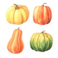 Watercolor hand drawn green, orange, yellow pumpkin