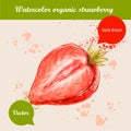 Watercolor hand drawn half strawberry Royalty Free Stock Photo