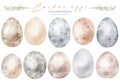 Watercolor hand drawn happy Easter set with delicate illustration of different bird eggs, hen, quail eggs. Beautiful