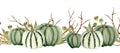 Watercolor hand drawn horizontal border illustration of green neutral pumpkins, wood forest leaves and brown branches