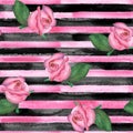 Horizontal striped roses texture Royalty Free Stock Photo