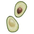 Watercolor hand drawn illustration of an avocado cut in half with a bone. Royalty Free Stock Photo