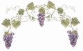 Watercolor hand drawn illustration composition purple grapes branch wreath. vineyard frame clipart