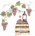 Watercolor hand drawn illustration composition with wooden barrel and glass with red wine and grapes. vineyard clipart