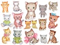 Big set collection of kitty cats. Cute cartoon kitten. Royalty Free Stock Photo