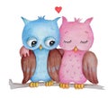 Cute lovely watercolor owls