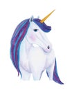 Watercolor hand drawn illustration with cute white and blue colors unicorn Royalty Free Stock Photo