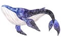 Watercolor hand drawn illustration with dark purple whale isolated on white background Royalty Free Stock Photo