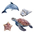 Watercolor hand drawn illustration dolphin, sea turtle, minke whale. Royalty Free Stock Photo