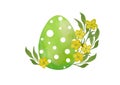 Watercolor hand drawn illustration of green Easter polka dot green egg and garden ranunculus buttercup flowers. Egg huns