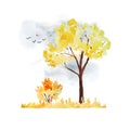 Watercolor hand drawn illustration with orange yellow autumn fall tree, bush grey sky and flying birds. wild forest Royalty Free Stock Photo