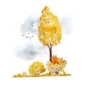 Watercolor hand drawn illustration with orange yellow autumn fall tree, bushes, sky and flying birds. Wild forest Royalty Free Stock Photo