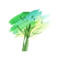 Watercolor hand drawn illustration Royalty Free Stock Photo