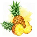 watercolor hand drawn illustration of pineapple with half and slices ripe pineapple, sketch of tropical fruit, food Royalty Free Stock Photo