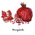 Watercolor hand drawn illustration of pomegranate. Raster design