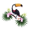 Hand-drawn illustration of a sitting on a branch rainbow toucan, hibiscus, palm tree, rose and green leaves. Tropical