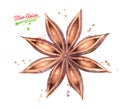 Watercolor hand drawn illustration of Star Anise