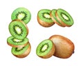 Collection of watercolor kiwi fruits on white background Royalty Free Stock Photo