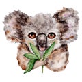 Watercolor Hand Drawn Koala Floral Composition for card making, paper, textile, printing, packaging