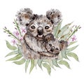Watercolor Hand Drawn Koala floral Composition for card making, paper, textile, printing, packaging