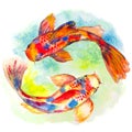 Watercolor hand drawn koi fishes