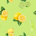 Watercolor hand drawn lemon, lime fruit seamless pattern.