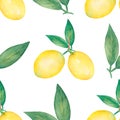 Watercolor hand drawn Lemon Paper, citrus fruit seamless pattern, Yellow Lemons endless print