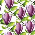 Watercolor hand-drawn magnolia flower with pink flower and green leaves seamless pattern isolated on white background Royalty Free Stock Photo