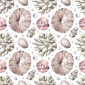 Watercolor hand drawn nautical seamless pattern with illustration of corals seashells isolated on white background Royalty Free Stock Photo