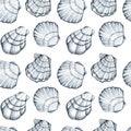 Watercolor hand drawn nautical seamless pattern with illustration of seashells isolated on white background. Graphic Royalty Free Stock Photo