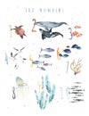 Watercolor hand drawn number poster, colorful illustration of sea underwater plants, fish, whale, killer whale, seaweeds