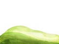 Watercolor hand drawn painting illustration fresh green grass isolated on a white background. Summer grassy element for