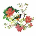 Watercolor hand drawn pattern with tropical summer flowers of and exotic birds Royalty Free Stock Photo