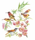 Watercolor hand drawn pattern with tropical summer flowers of and exotic birds Royalty Free Stock Photo