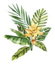 Watercolor hand drawn rainforest tropical leaves and flowers bouquet composition. Royalty Free Stock Photo