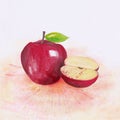 Watercolor hand drawn red apple. Watercolor illustration of cut and whole red apples Royalty Free Stock Photo