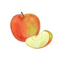 Watercolor hand drawn red apple. Royalty Free Stock Photo
