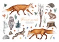 Watercolor hand drawn rural set with illustration of natural trees, forest animals fox, hedgehog, owl, hare, herbs