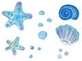 Collection of hand painted drawn watercolor sealife cliparts