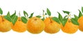 Watercolor hand drawn seamless horizontal border illustration of bright orange tangerine mandarine citrus fruits with