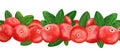 Watercolor hand drawn seamless horizontal border illustration of cranberry cowberry lingonberry partridgeberry red