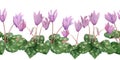 Watercolor hand drawn seamless horizontal border illustration pink violet purple cyclamen wild flowers. Forest wood Royalty Free Stock Photo