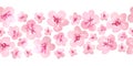 Watercolor hand drawn seamless horizontal border with pink cherry sakura flowers blossom bloom. Japanese Chinese Asian