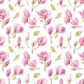 Watercolor hand-drawn seamless magnolia pattern design. Pink magnolia. Spring blossom. Wonderful flowers. Royalty Free Stock Photo