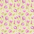 Watercolor hand-drawn seamless magnolia pattern design. Pink magnolia. Spring blossom. Wonderful flowers. Royalty Free Stock Photo