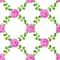 Watercolor hand drawn seamless organised floral pattern with eucalyptus green leaves and pink roses flowers isolated on white back Royalty Free Stock Photo